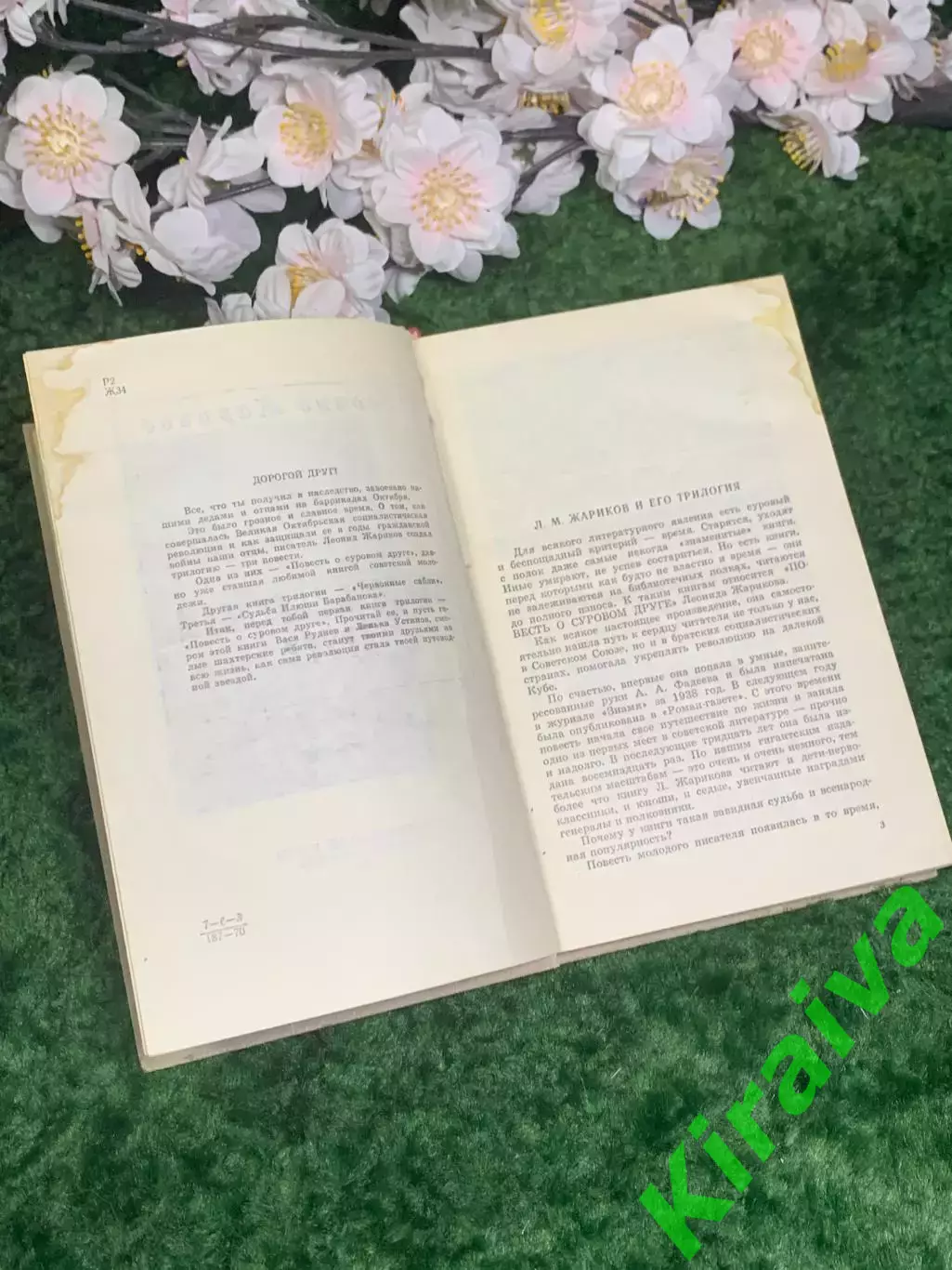 Книга повесть «Повесть о суровом друге» Леонид Жариков 1971 г. (Н2981) 3