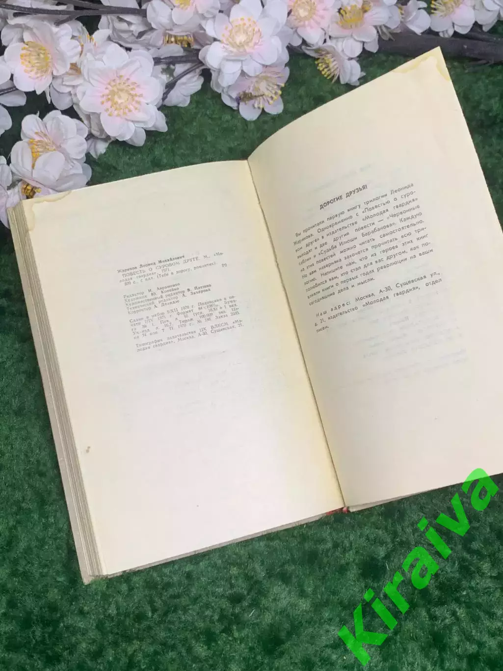 Книга повесть «Повесть о суровом друге» Леонид Жариков 1971 г. (Н2981) 6