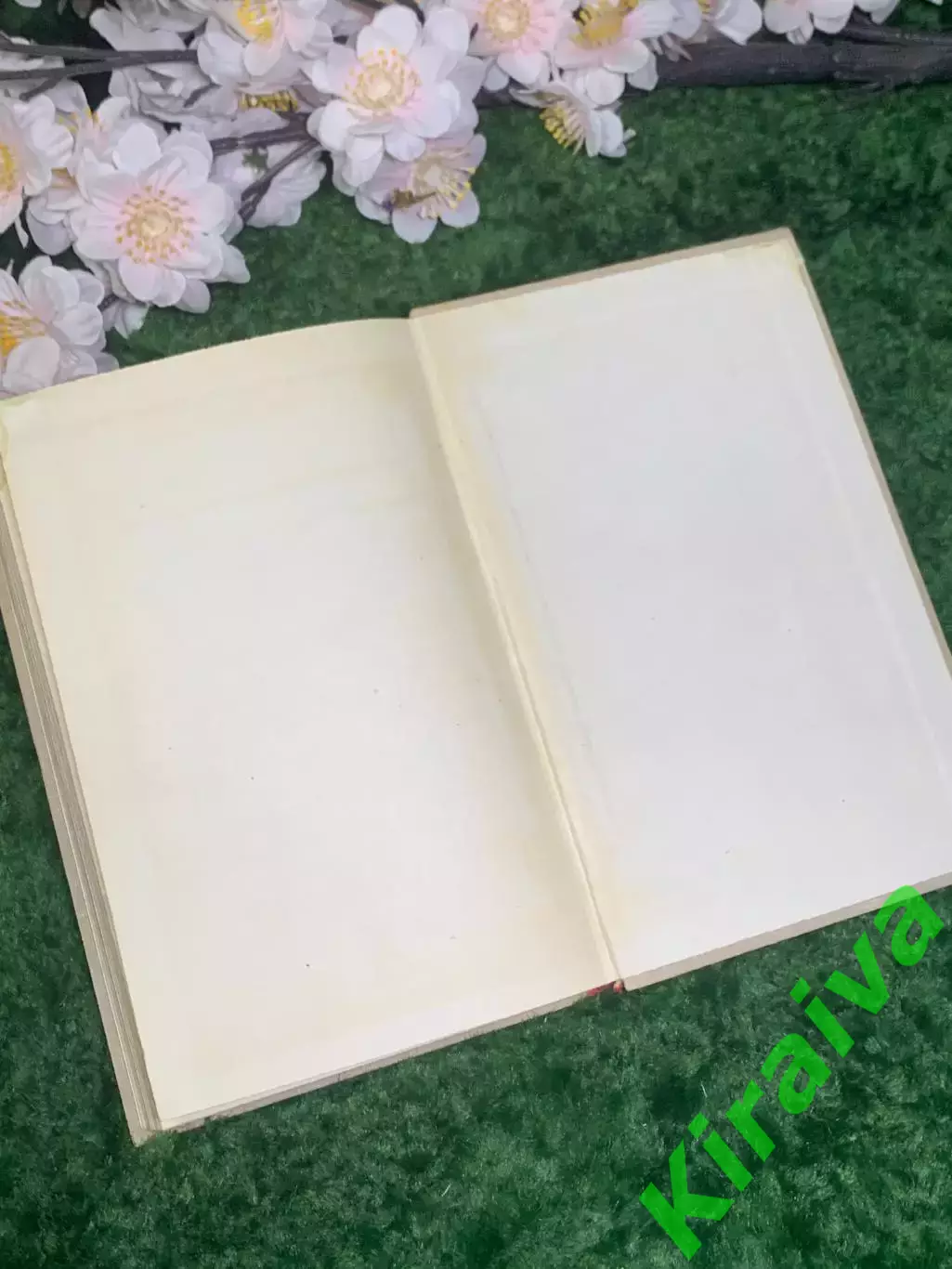 Книга повесть «Повесть о суровом друге» Леонид Жариков 1971 г. (Н2981) 7