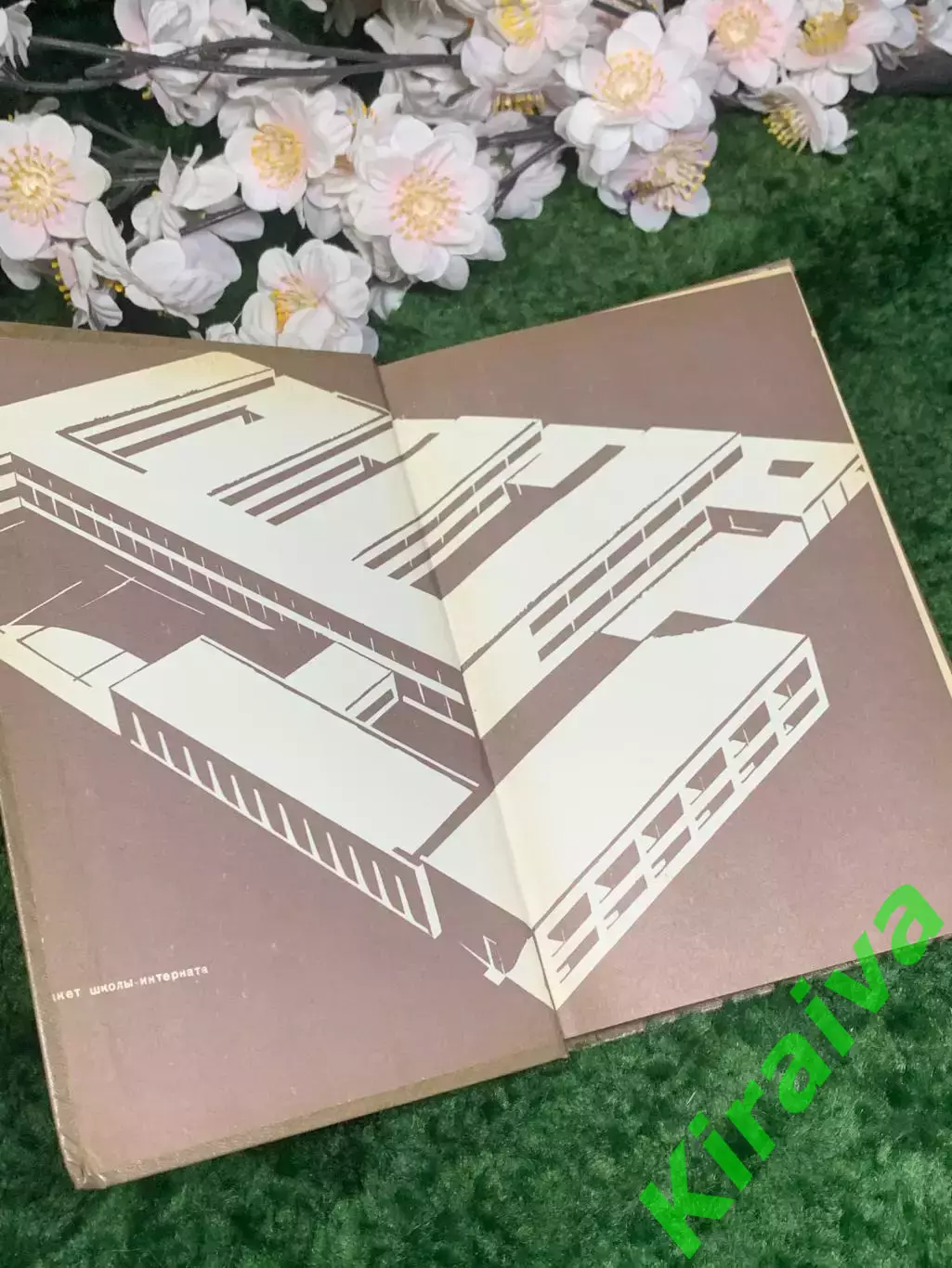 Книга «Основы гигиены учащихся» М. В. Антропова 1971 г. (Н2982) 1