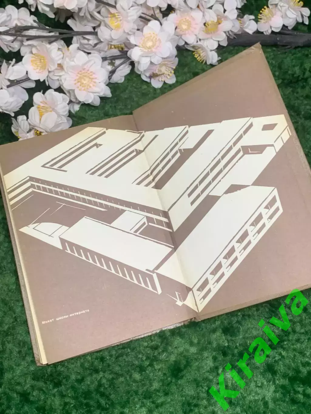 Книга «Основы гигиены учащихся» М. В. Антропова 1971 г. (Н2982) 7