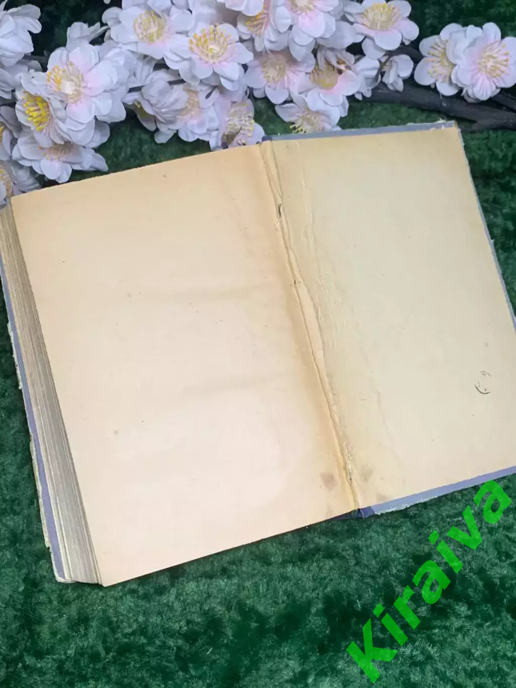 Книга повести «Детство Тёмы, Гимназисты и Студенты» Гарин-Михайловский Н2982 7