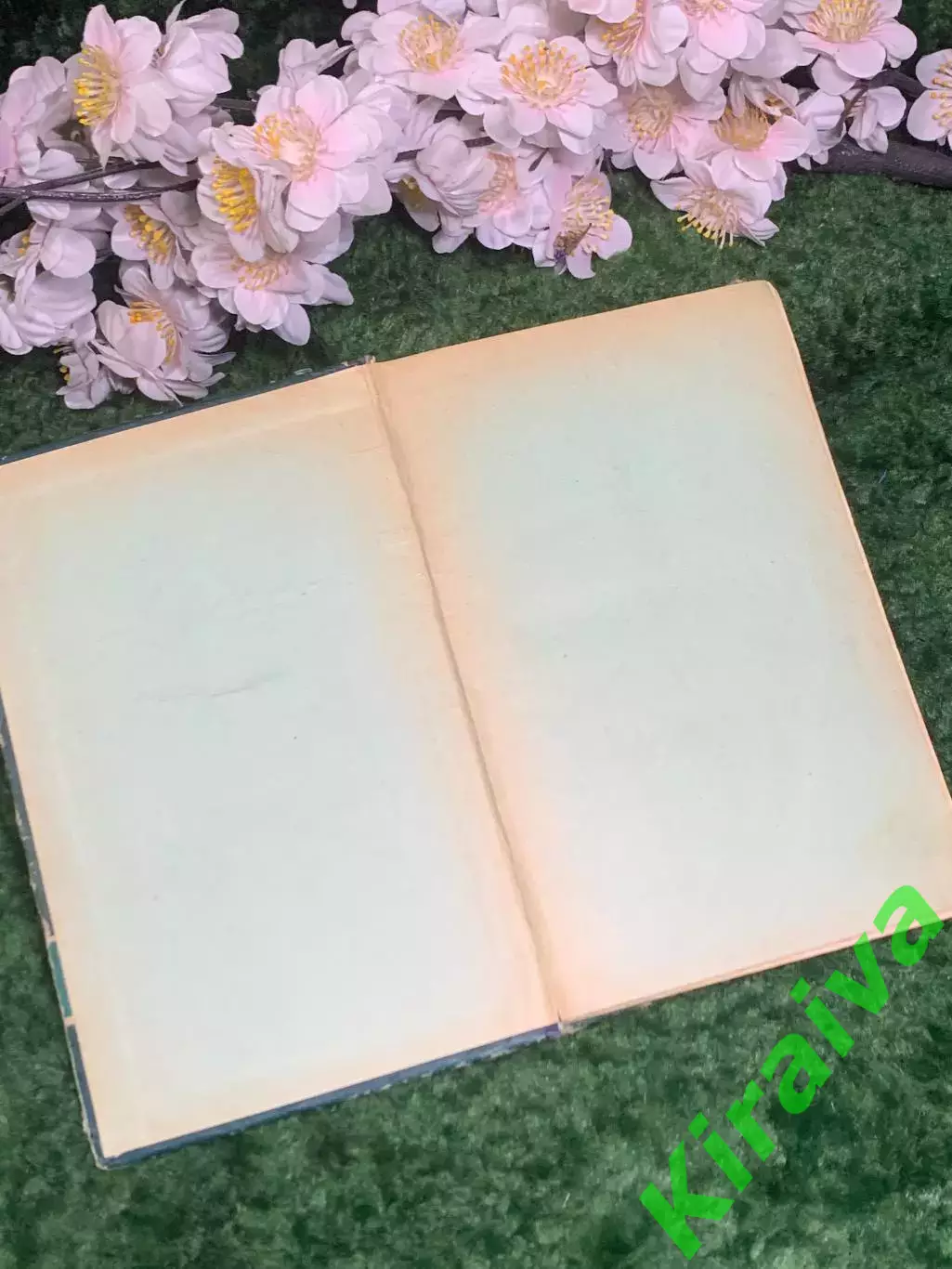 Книга приключенч повесть «Практика Сергея Рубцова» Николай Далёкий 1957 г. Н2987 1