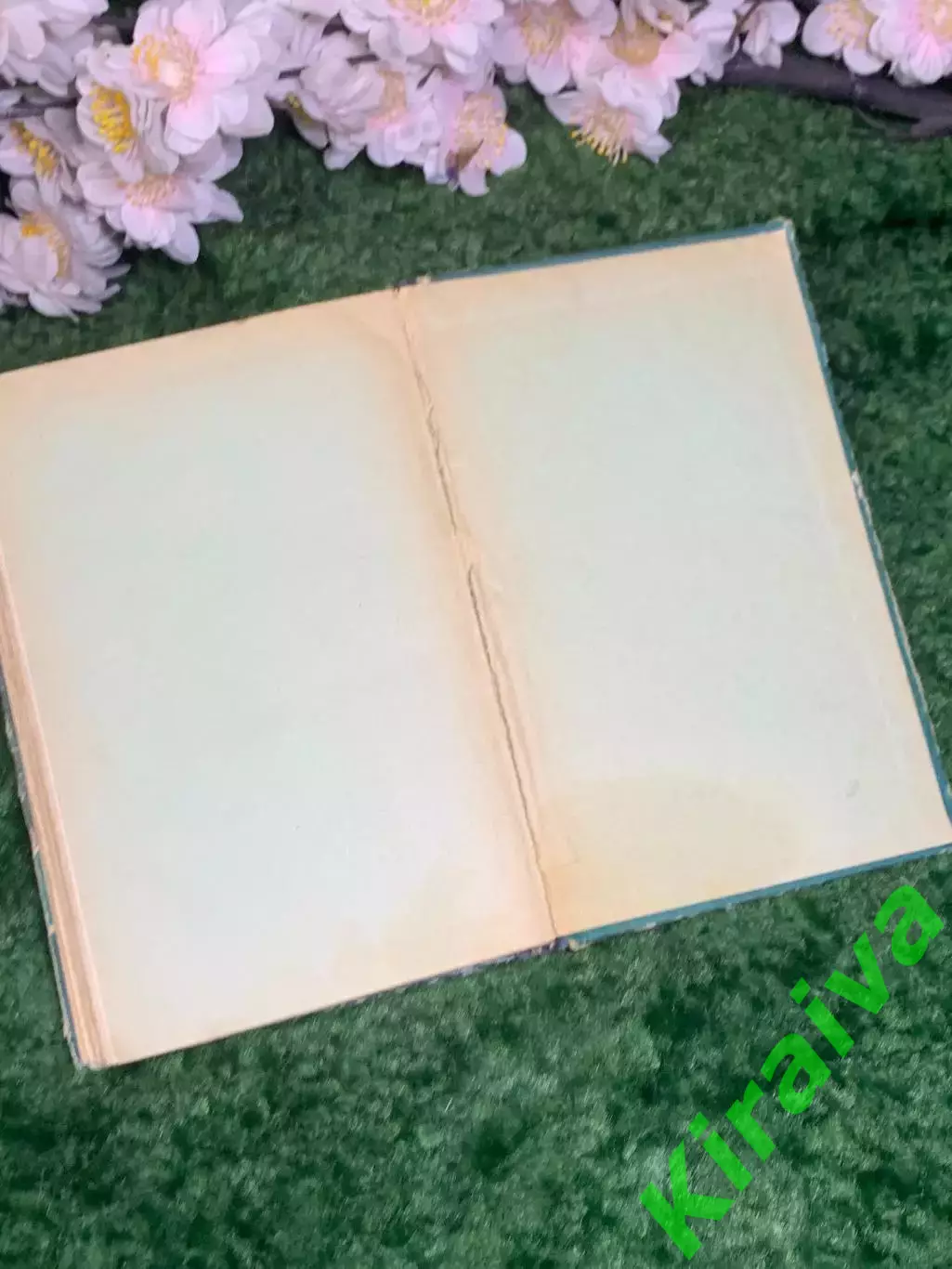Книга приключенч повесть «Практика Сергея Рубцова» Николай Далёкий 1957 г. Н2987 7