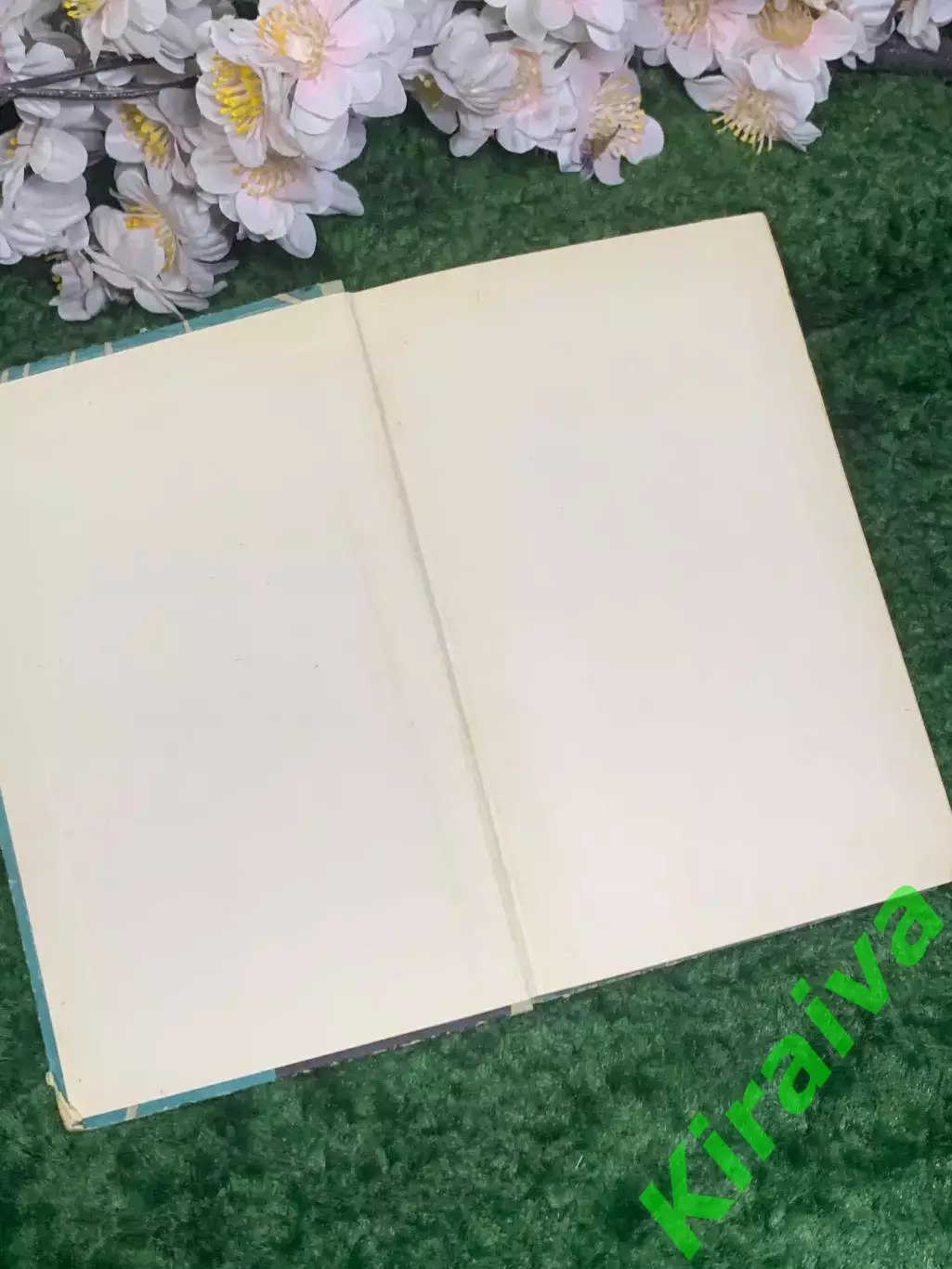 Книга повести «Голубой плёс» Иван Багмут 1972 г. (Н2988) 1