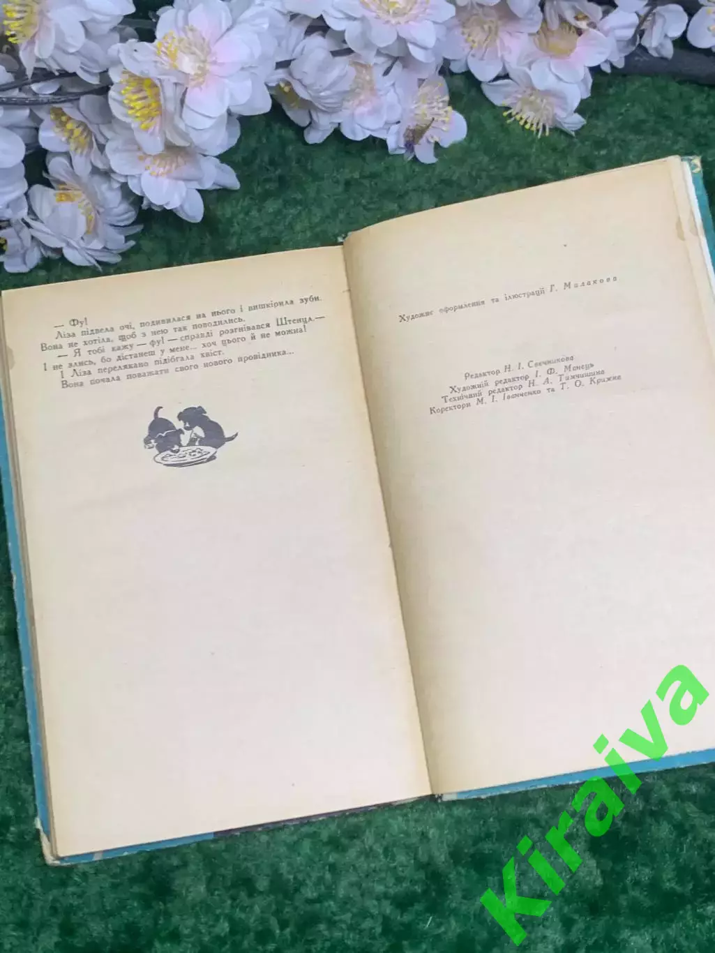 Книга повести «Голубой плёс» Иван Багмут 1972 г. (Н2988) 5