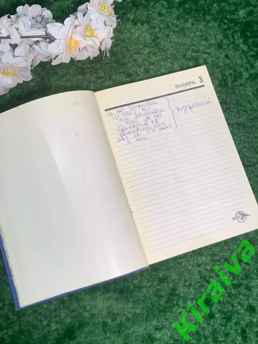 Ежедневник-календарь «Спутник» 1972 г. винтаж СССР Б/У (Н2996) 4