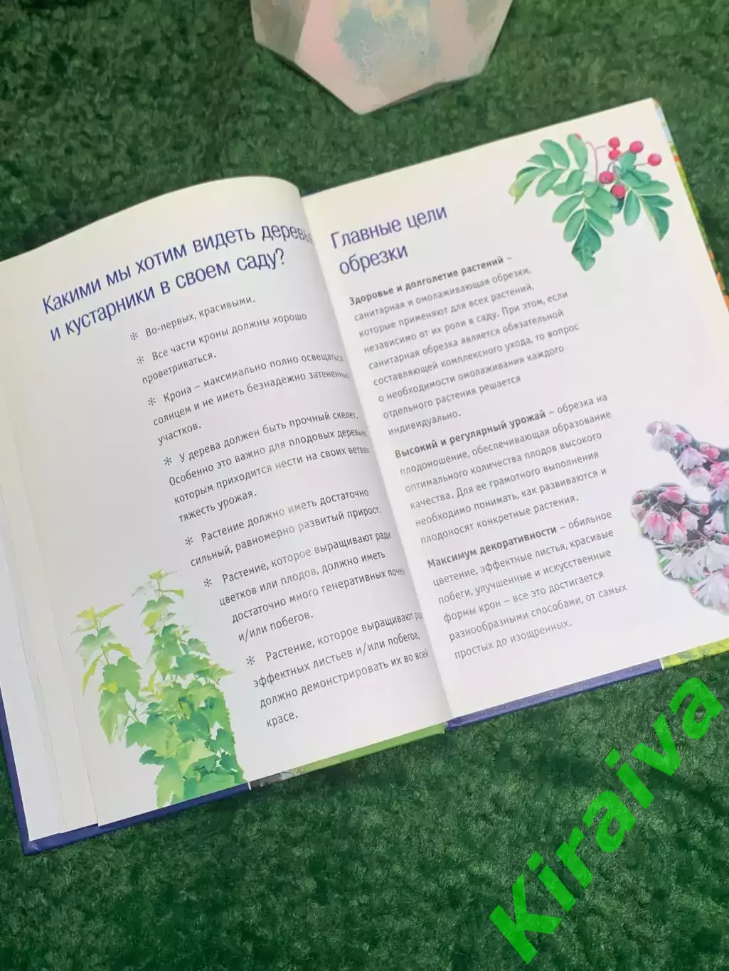 Книга по садоводству «Все об обрезке садовых растений» (Н8014) 3