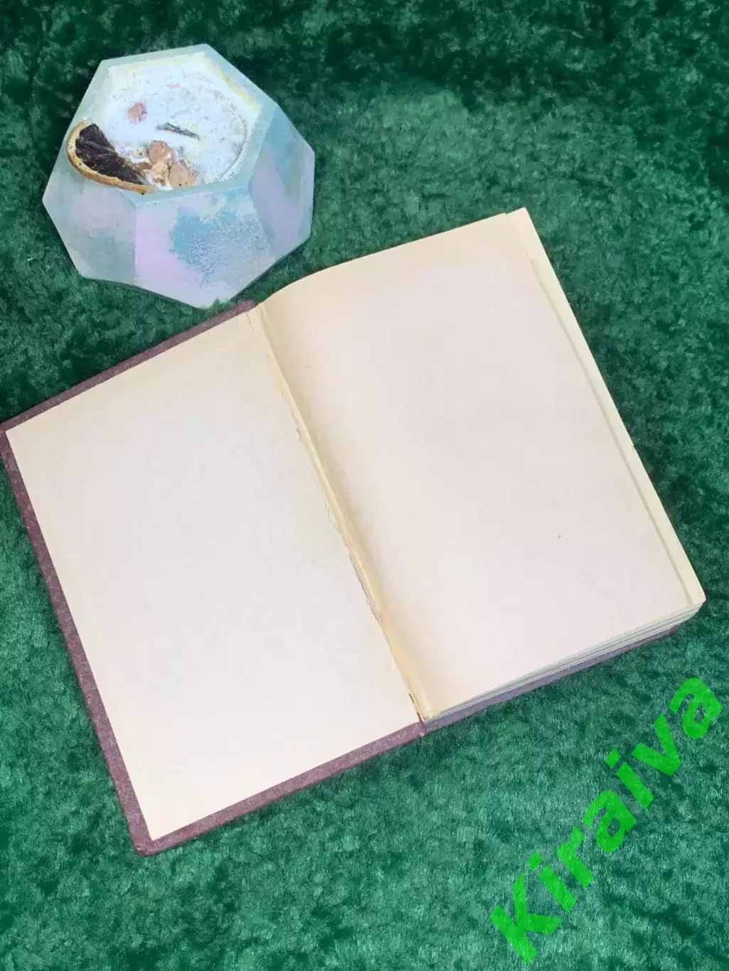 Книга сборник новеллы легенды «Избранное» Стефан Цвейг 1957 г. (Н8020) 1