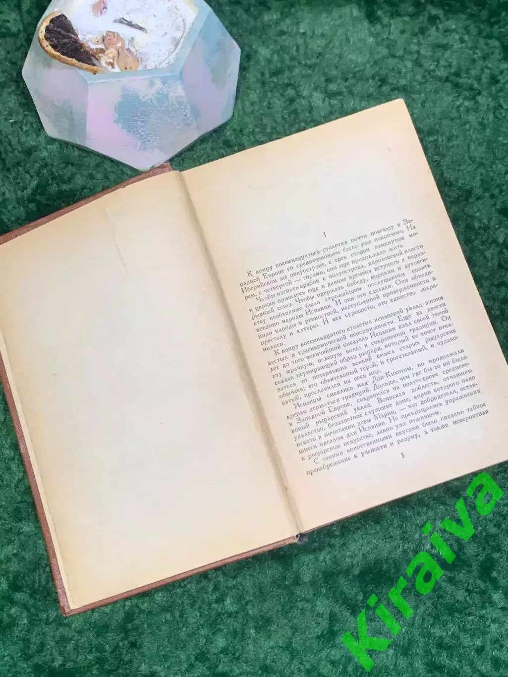 Книга роман «Гойя, или Тяжкий путь познания» Лион Фейхтвангер 1958 г. (Н8022) 4