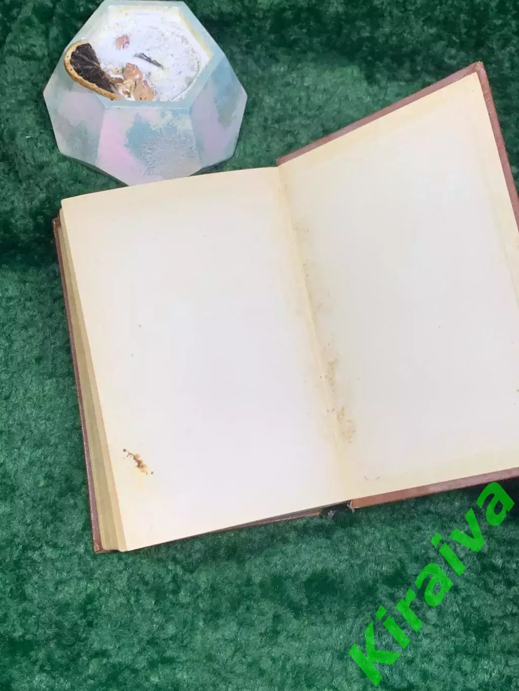 Книга роман «Гойя, или Тяжкий путь познания» Лион Фейхтвангер 1958 г. (Н8022) 7