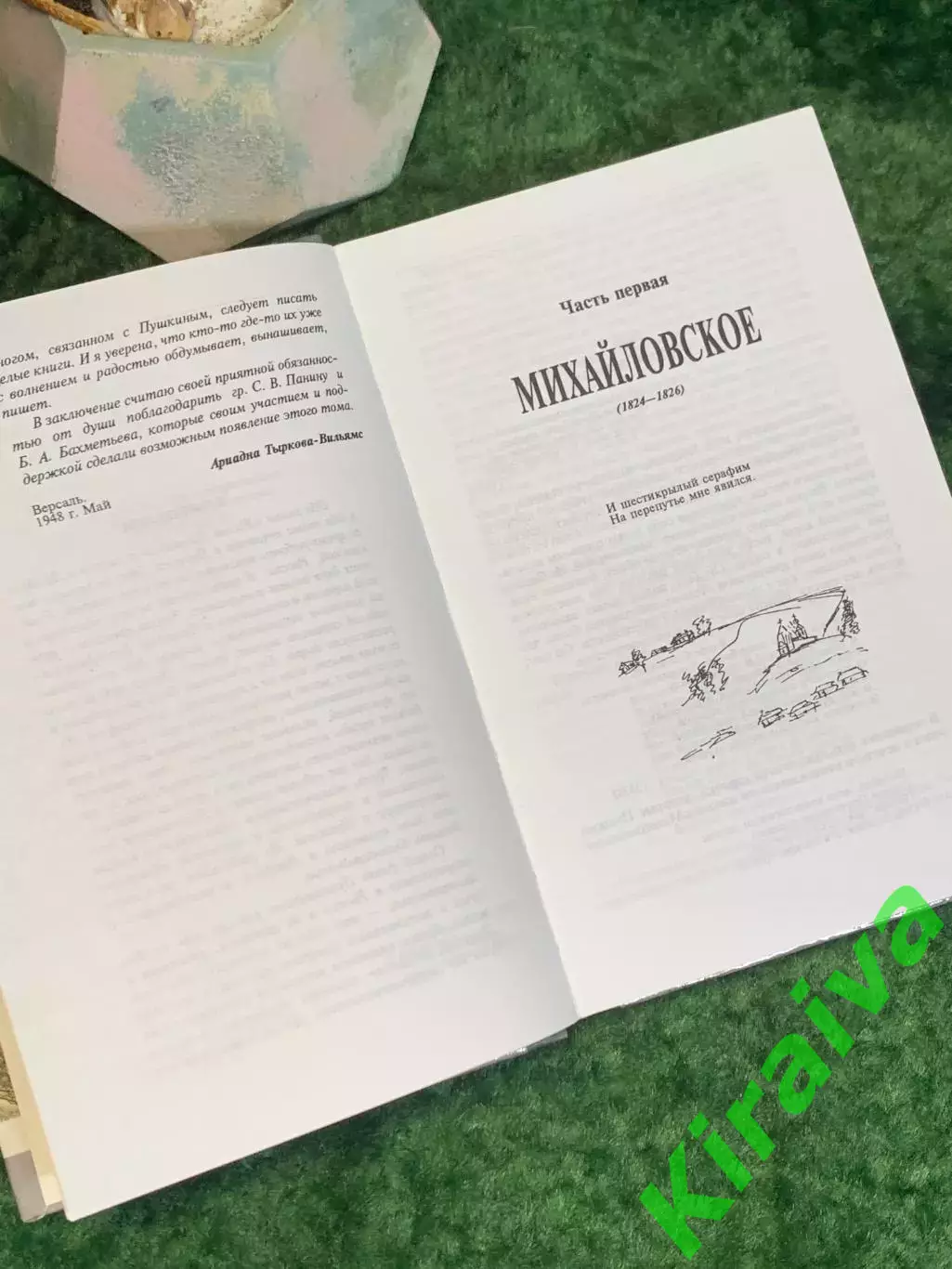 Книга биография Пушкина «Пушкин» Ариадна Тыркова-Вильямс Н8031 5