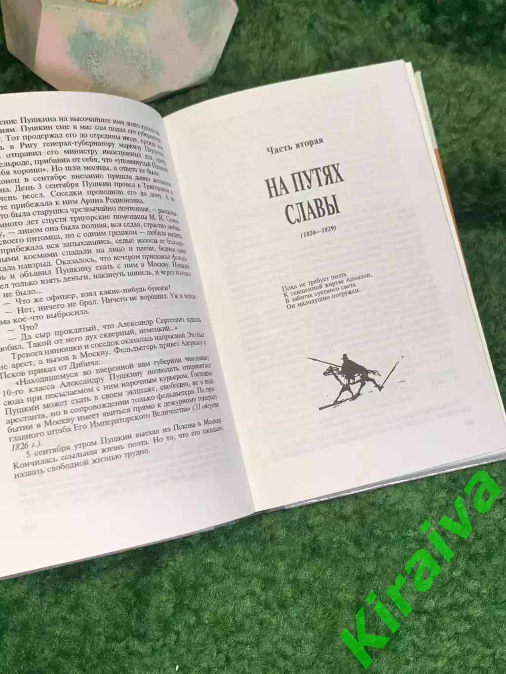 Книга биография Пушкина «Пушкин» Ариадна Тыркова-Вильямс Н8031 6