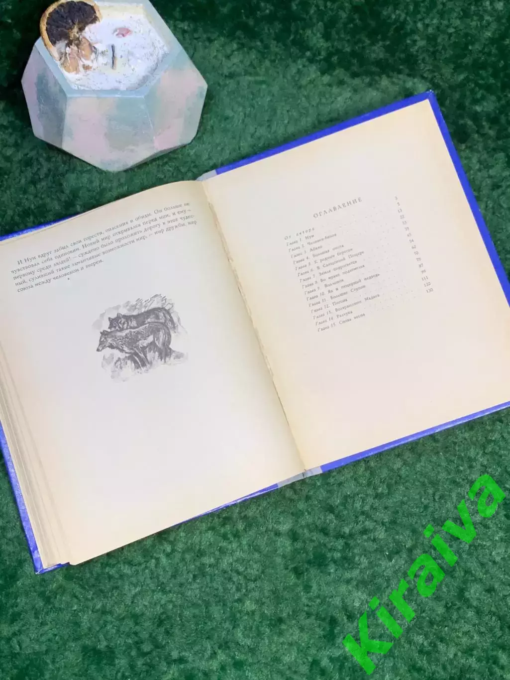 Книга приключенческая повесть «Пещеры Красной реки» Клод Сенак 1972 г. Дет Н7041 5