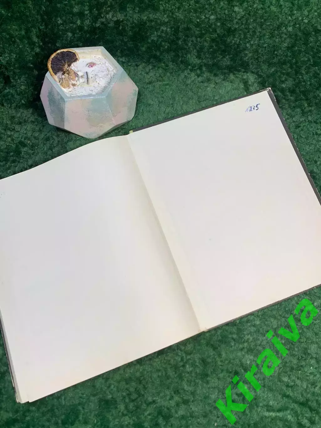 Книга учебное пособие «Русский язык в картинках. Часть 2» 1968 Н7046 5