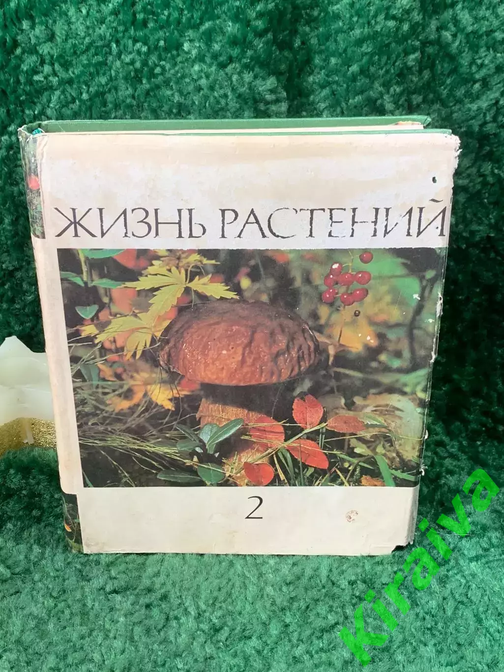 Книга энциклопедия том 2 Грибы «Жизнь растений» «Просвещение» 1976 г. Н7054