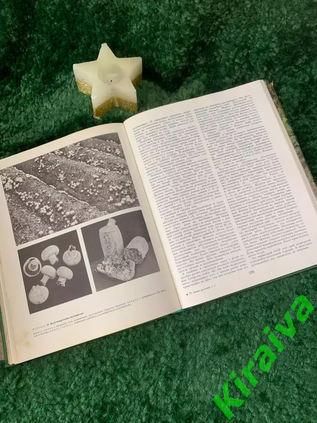 Книга энциклопедия том 2 Грибы «Жизнь растений» «Просвещение» 1976 г. Н7054 4