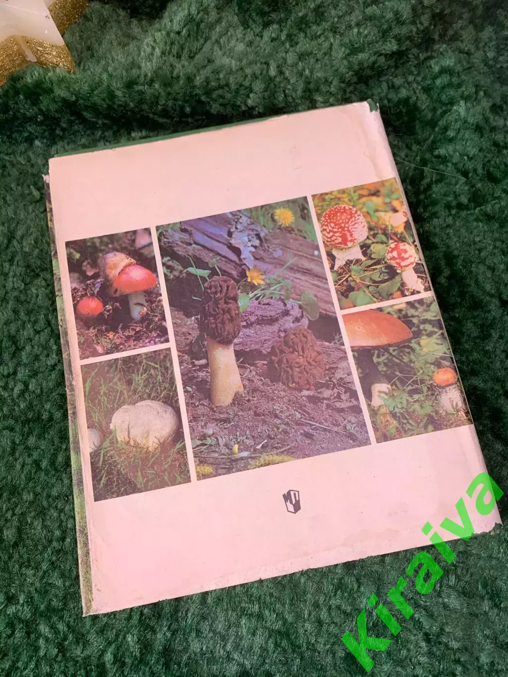 Книга энциклопедия том 2 Грибы «Жизнь растений» «Просвещение» 1976 г. Н7054 7