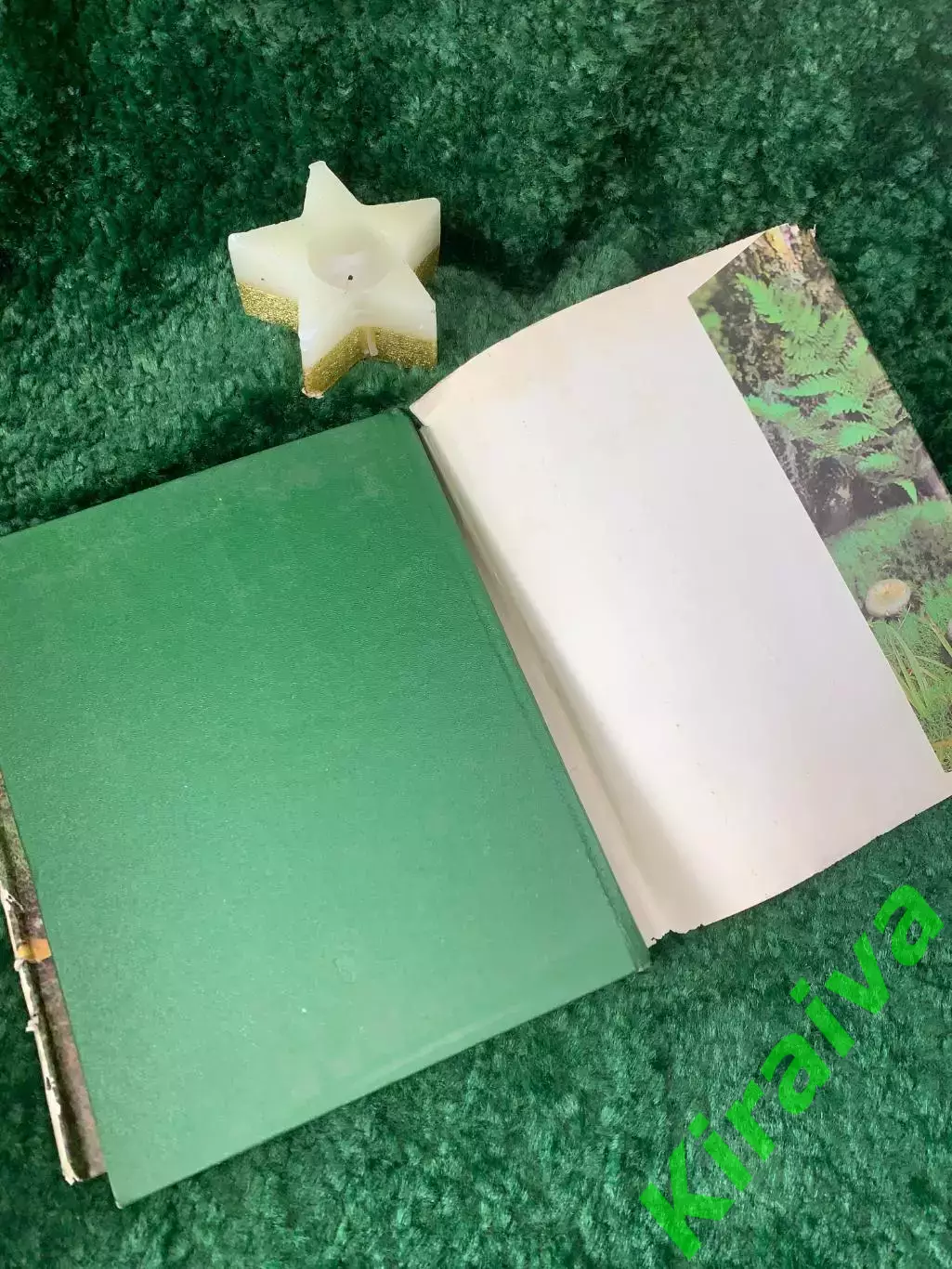 Книга энциклопедия том 2 Грибы «Жизнь растений» «Просвещение» 1976 г. Н7054 6
