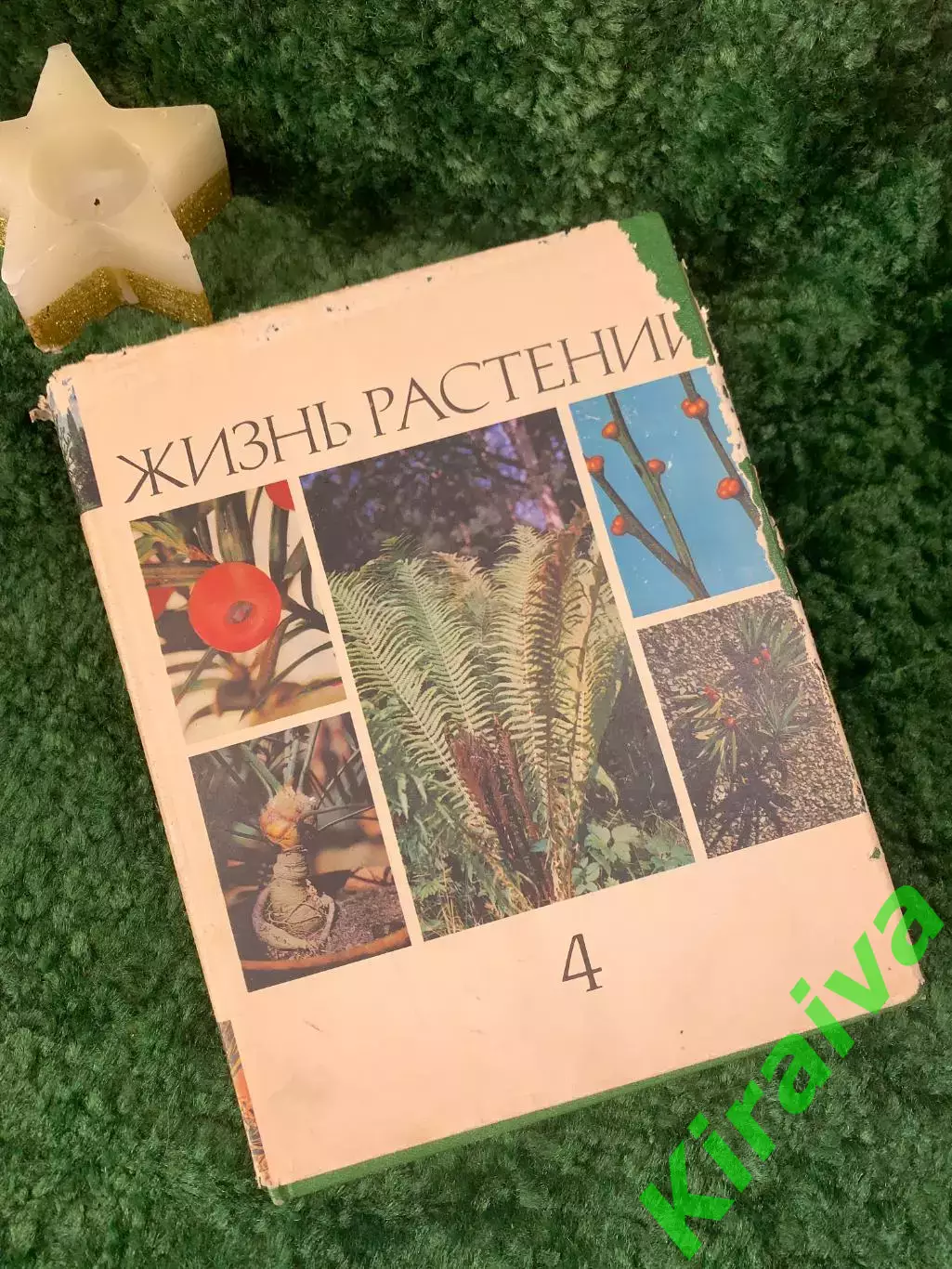 Энциклопедия Том 4 «Жизнь растений» Мхи, плауны, хвощи, папоротник 1976 г. Н7055