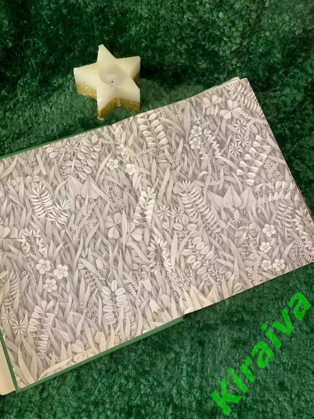 Энциклопедия Том 4 «Жизнь растений» Мхи, плауны, хвощи, папоротник 1976 г. Н7055 2