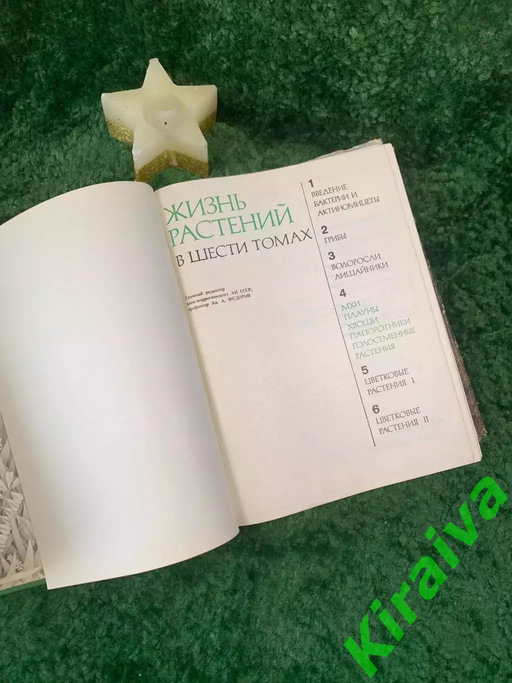 Энциклопедия Том 4 «Жизнь растений» Мхи, плауны, хвощи, папоротник 1976 г. Н7055 3