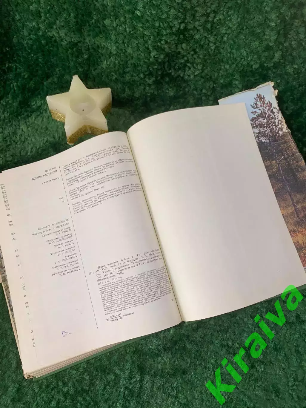 Энциклопедия Том 4 «Жизнь растений» Мхи, плауны, хвощи, папоротник 1976 г. Н7055 5