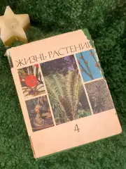 Энциклопедия Том 4 «Жизнь растений» Мхи, плауны, хвощи, папоротник 1976 г. Н7055