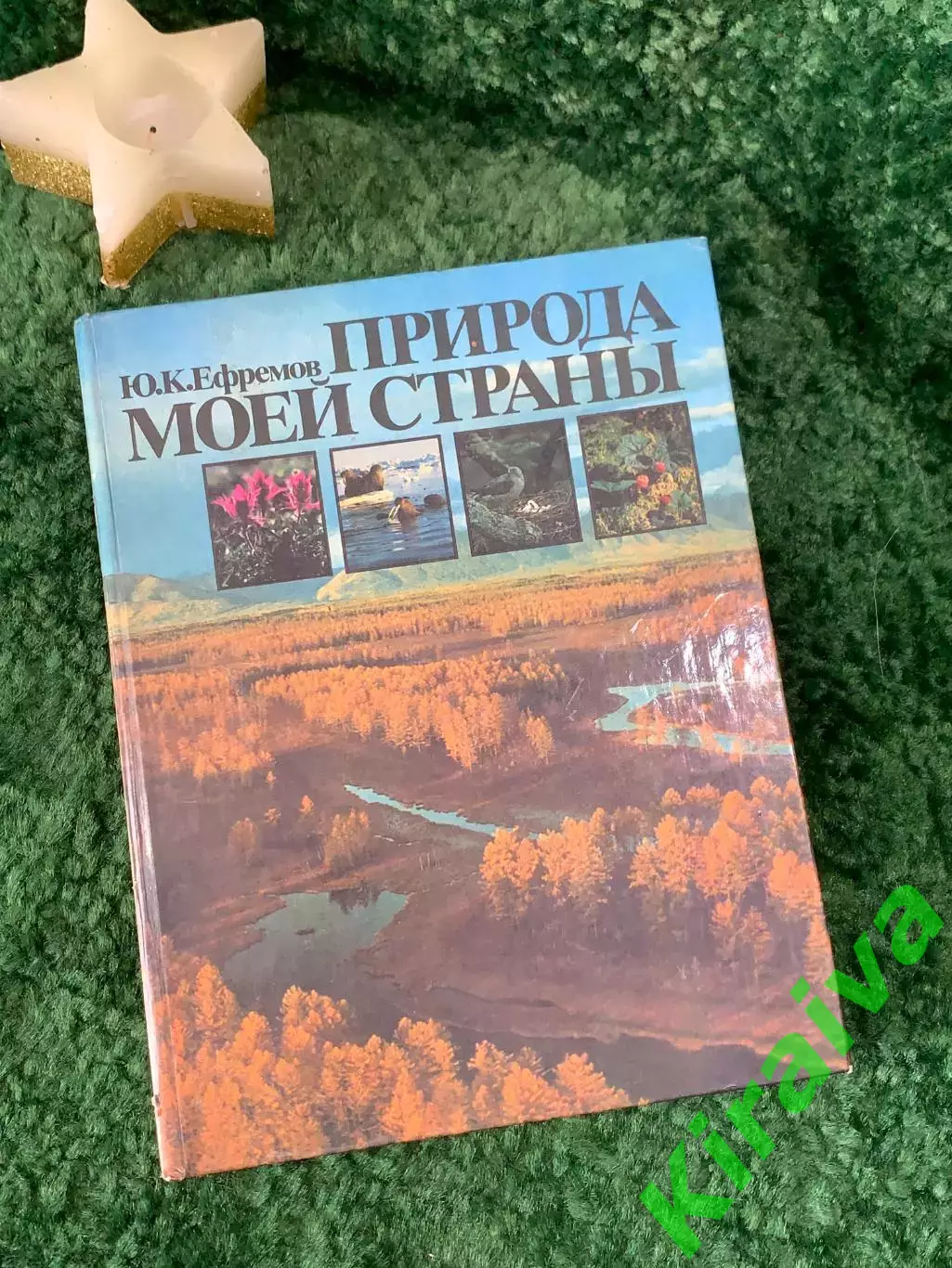 Книга научно-популярная «Природа моей страны» Ю. К. Ефремов 1985 г. (Н7057)