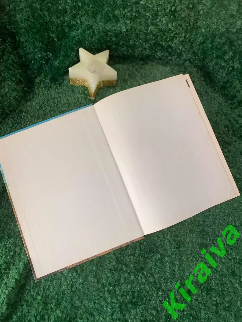 Книга научно-популярная «Природа моей страны» Ю. К. Ефремов 1985 г. (Н7057) 1