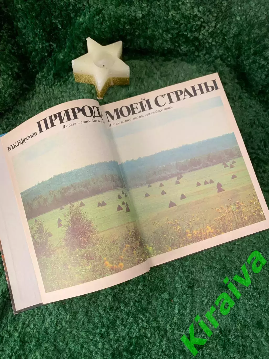 Книга научно-популярная «Природа моей страны» Ю. К. Ефремов 1985 г. (Н7057) 3