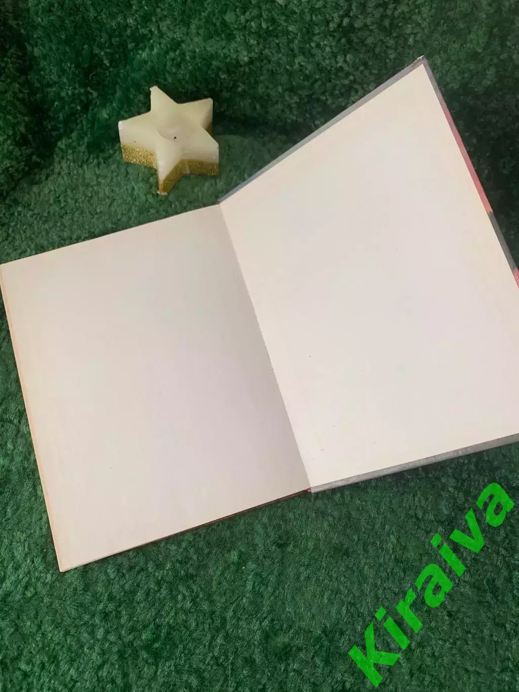 Книга научно-популярная «Природа моей страны» Ю. К. Ефремов 1985 г. (Н7057) 6