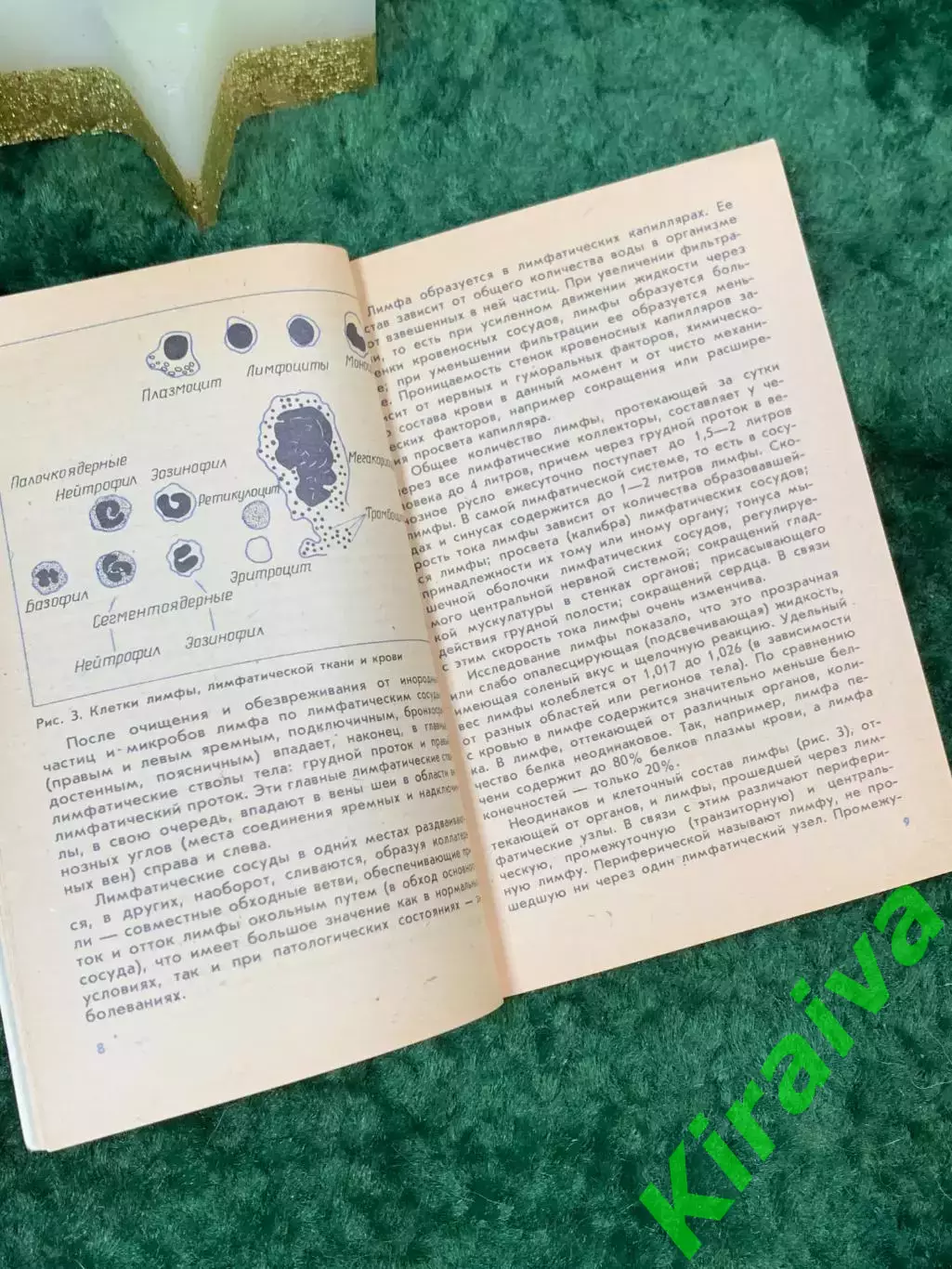 Книга здоровье «Лимфатическая система у детей» автора В.Е. Поляков 1985 го Н7066 3