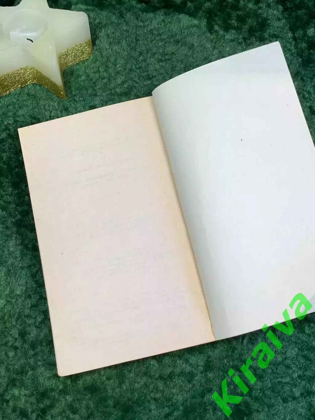 Книга роман - анекдот Жизнь и необычайные приключения солдата И Чонкин Н7088 5