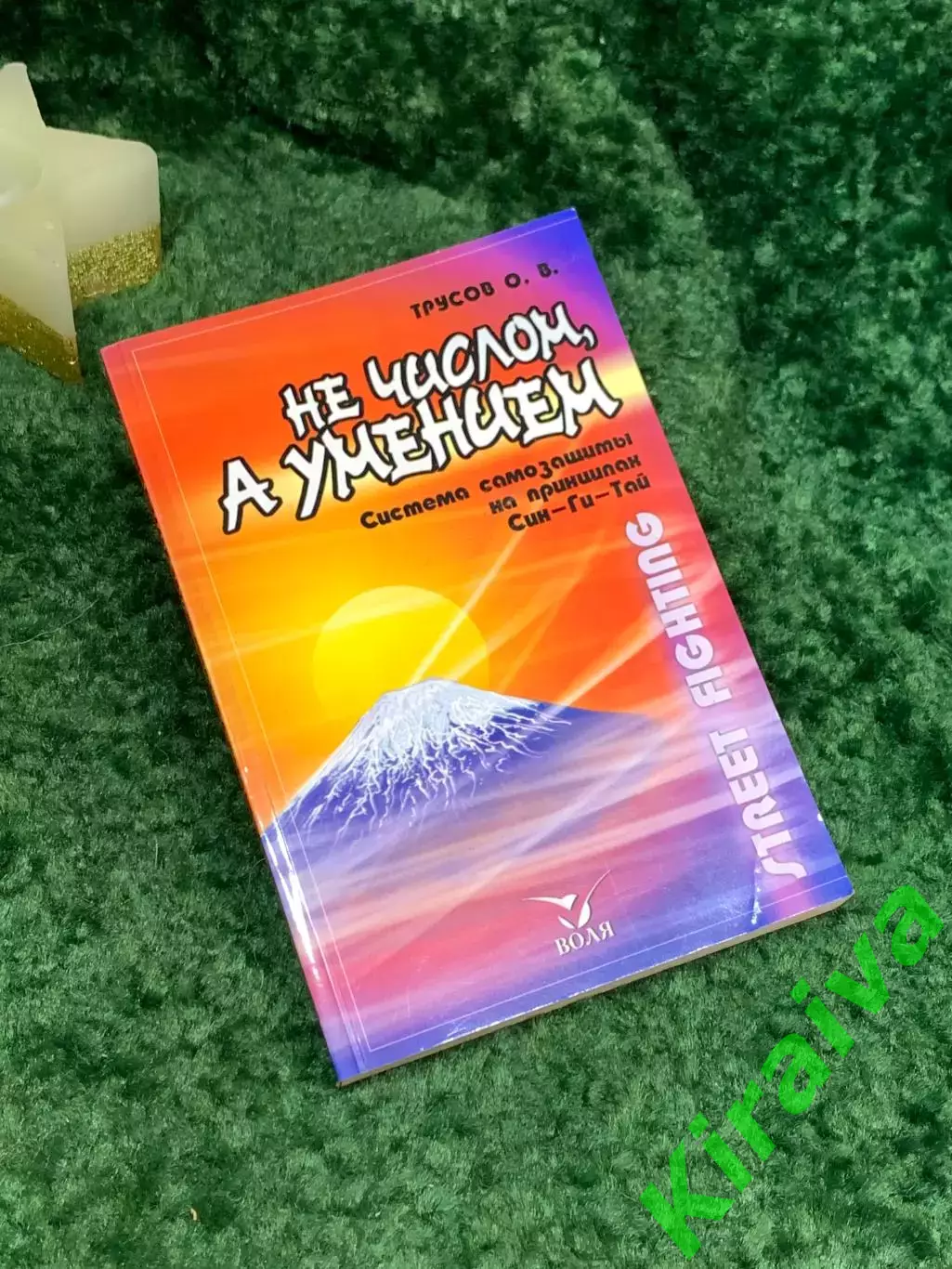 Книга «Не числом, а умением», система самозащиты на принципах «Син-Ги-Тай» Н7091