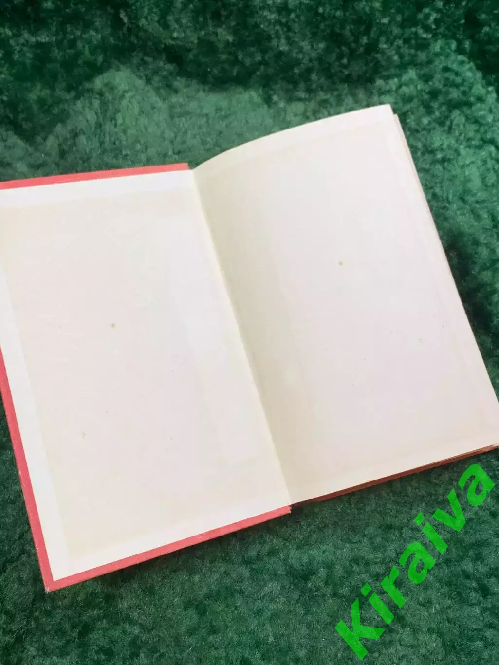 Книга военно-историческое о Брестской крепости«Умрем, но из крепости неН8060 1