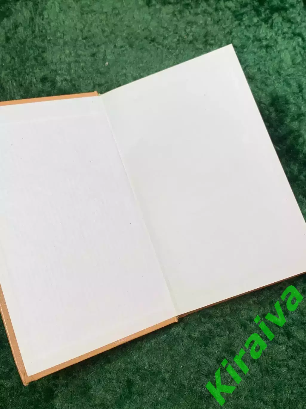 Книга психологический роман-детектив «Могу!» Николай Владимирович Нароков Н8063 1