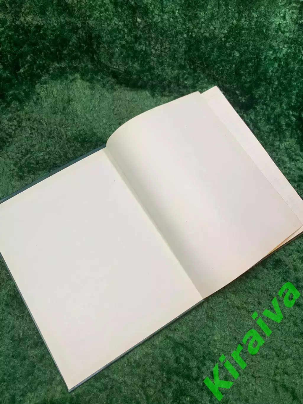 Книга религиозно-мистическое и философское «Роза Мира» Д. Л. Андреев 1991 Н8068 1