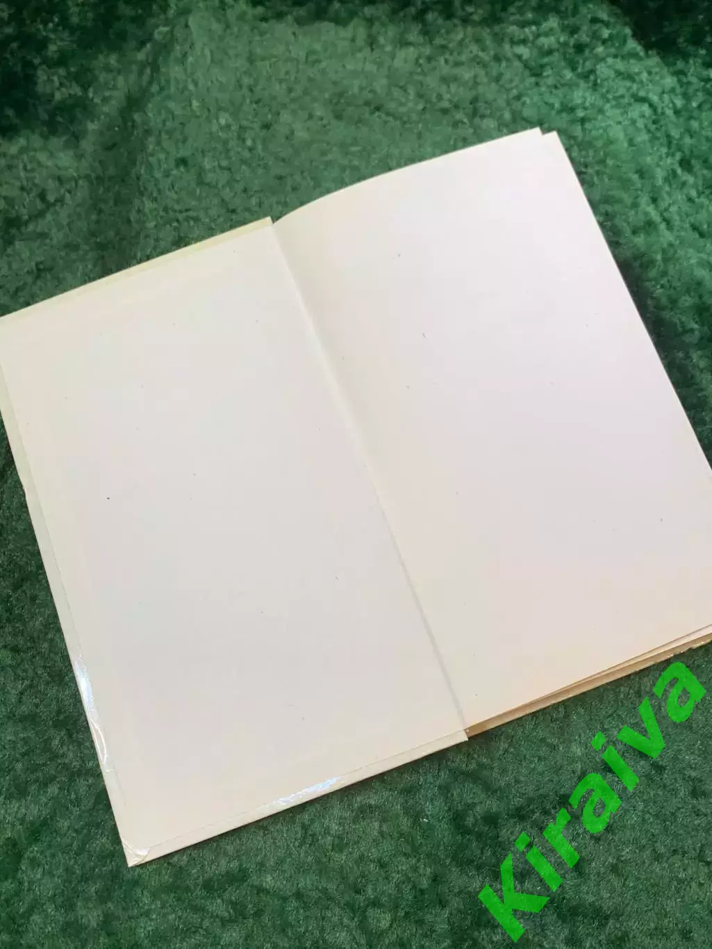 Книга исторический роман «Похищение огня» Галина Серебрякова 1990 (Н8077) 1