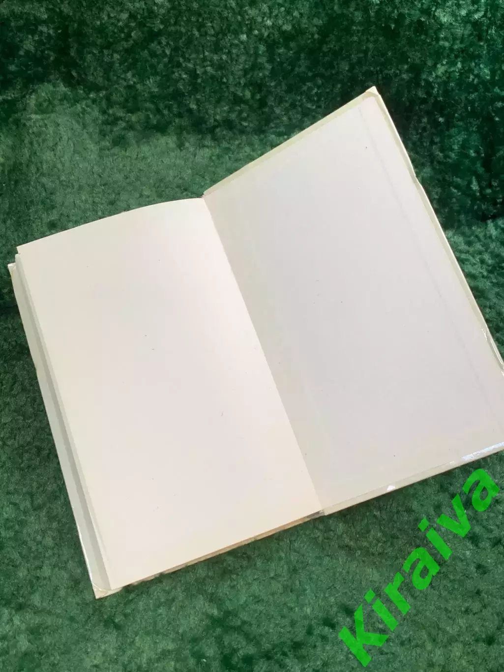 Книга исторический роман «Похищение огня» Галина Серебрякова 1990 (Н8077) 6