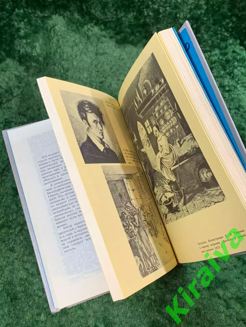 Книга биография «Братья Гримм. Очерк жизни и творчества» Герберт Скурла (Н8080 4