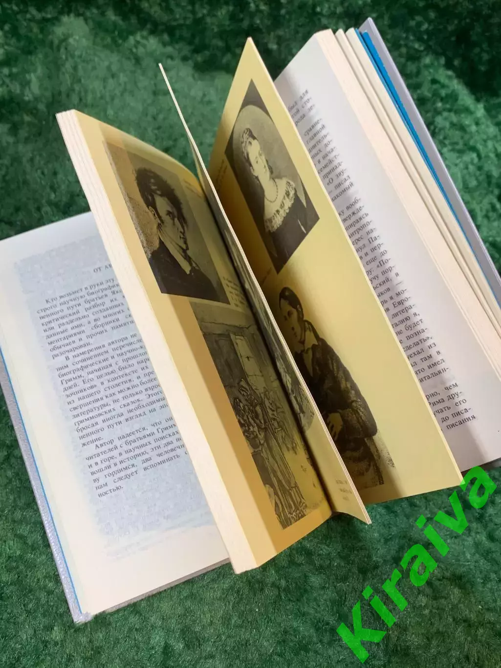 Книга биография «Братья Гримм. Очерк жизни и творчества» Герберт Скурла (Н8080 5