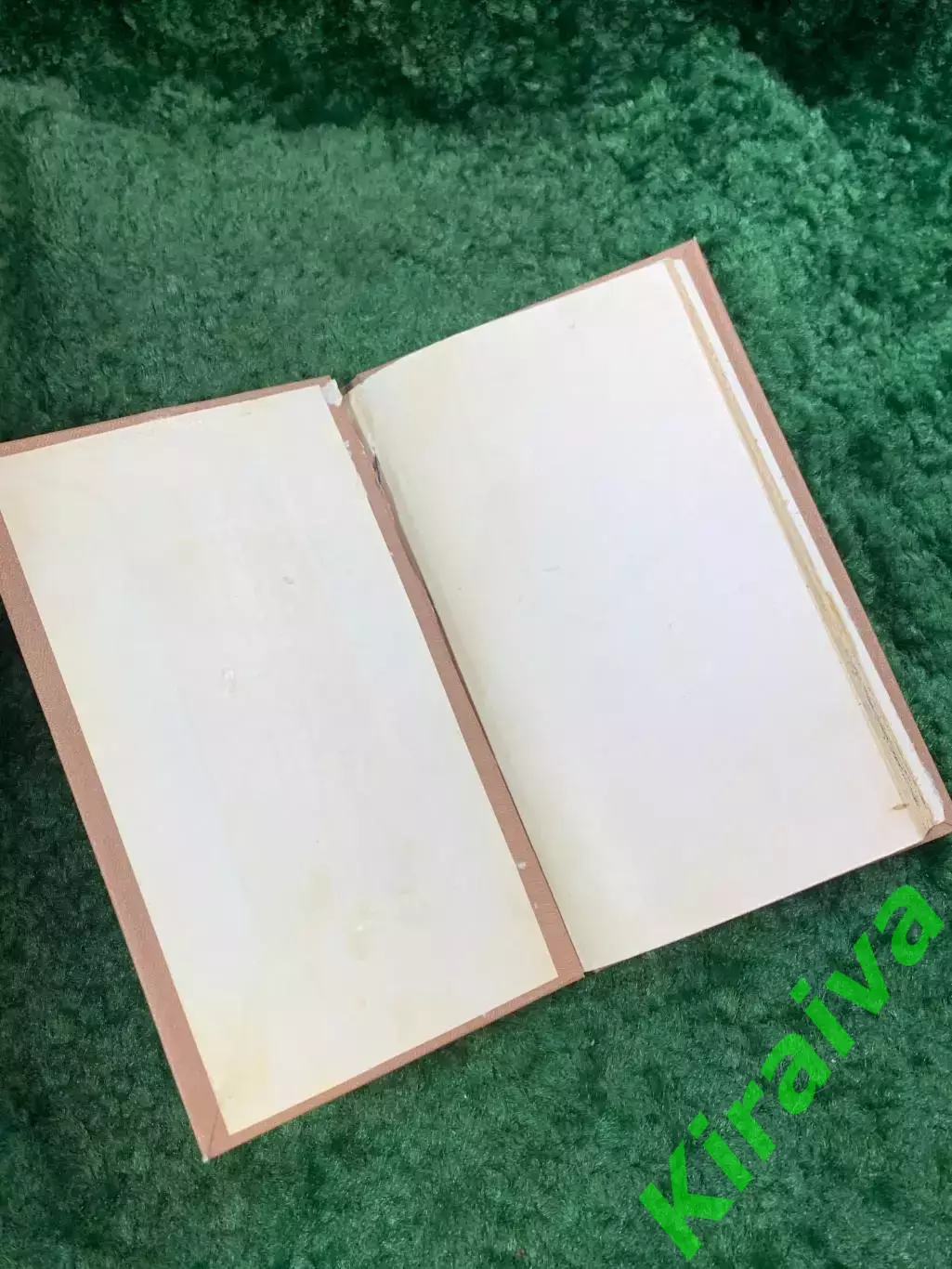 Книга-самоиздат дореволюционная «Тайны внешности человека» Никандеръ 1911 Н8082 1