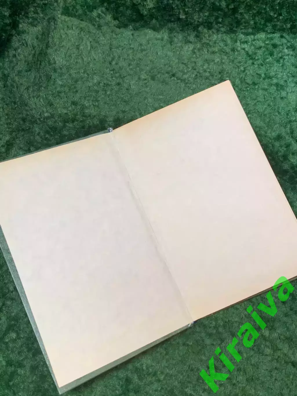 Книга судебная история «Ступай и не греши» Валентин Пикуль 1991 (Н8097) 1
