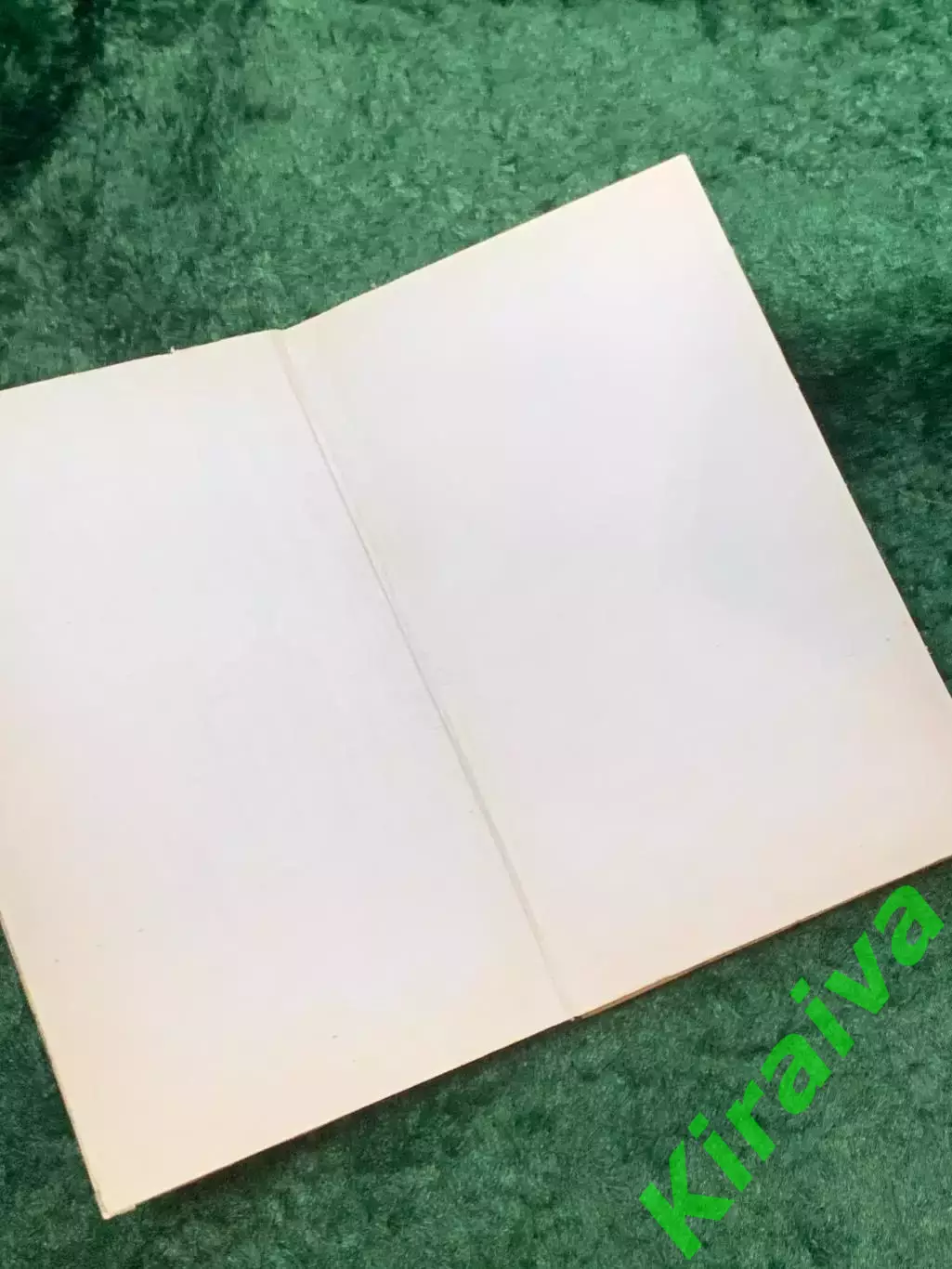 Книга «Особая папка Барбаросса» Лев Безыменский 1973 (Н8106) 1
