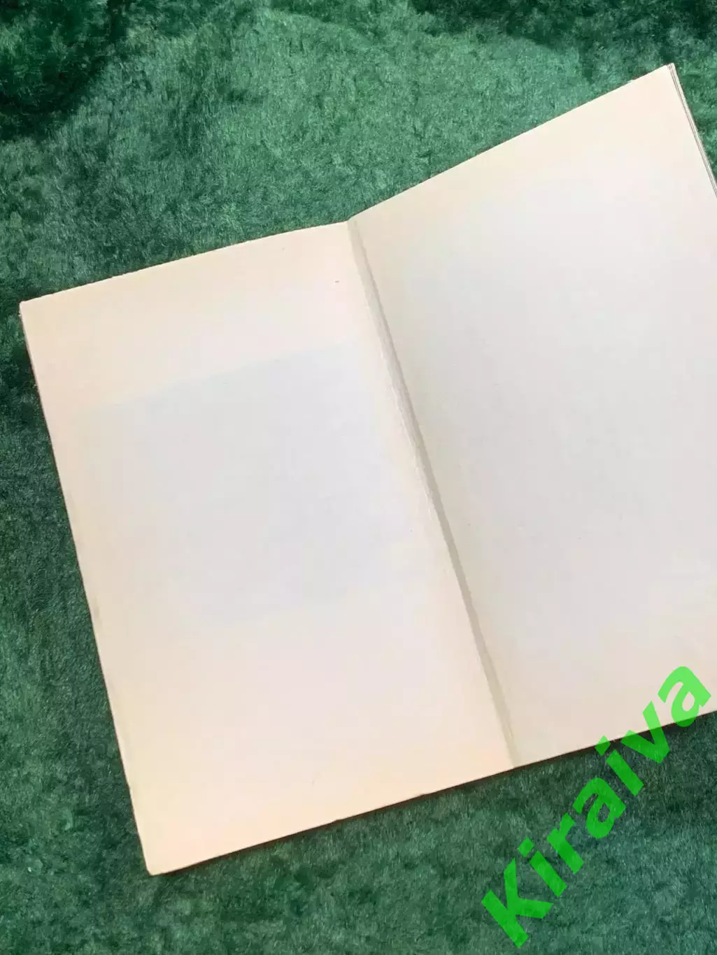 Книга «Особая папка Барбаросса» Лев Безыменский 1973 (Н8106) 6