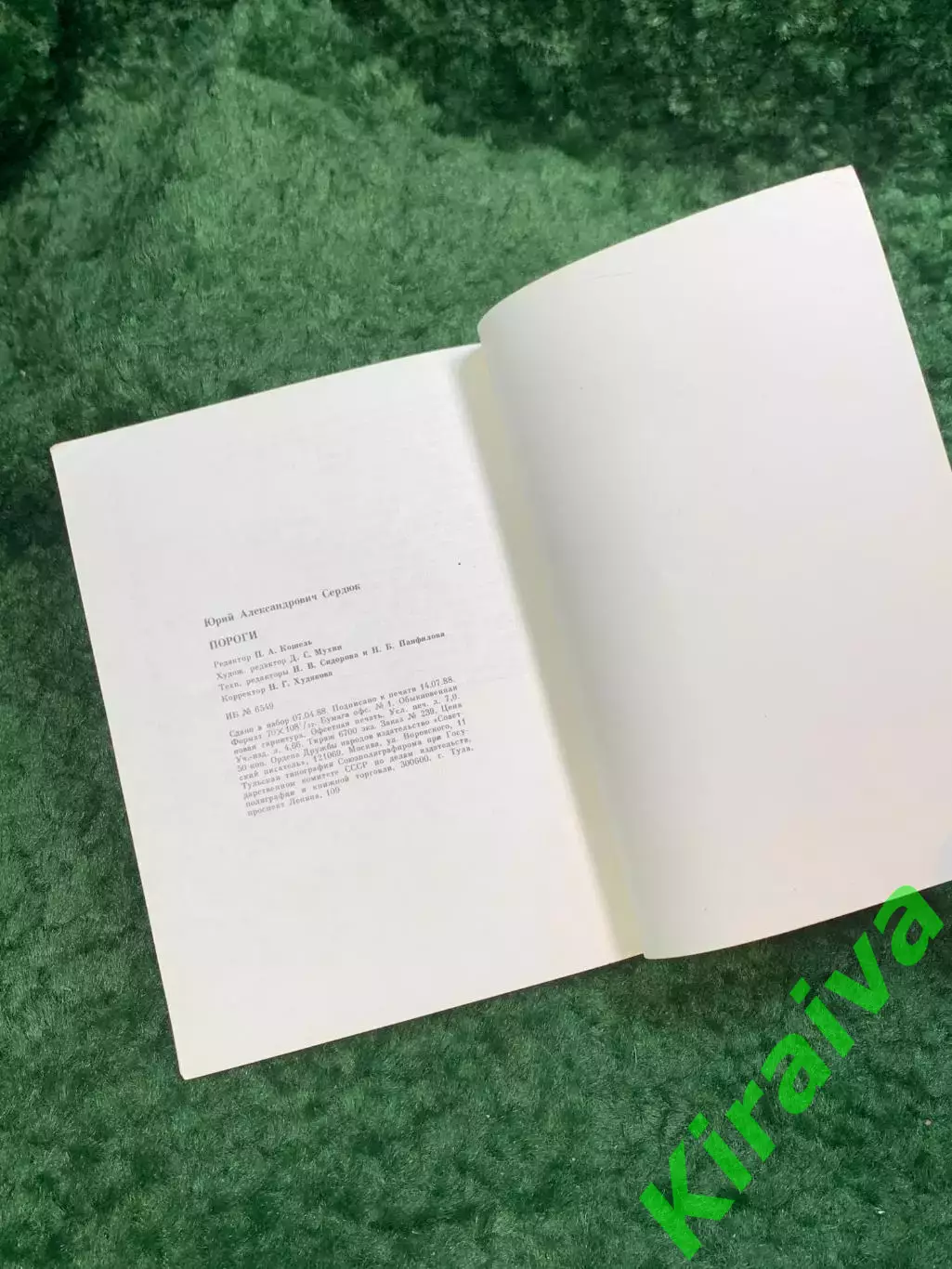 Книга поэзия стихи «Пороги» Юрий Сердюк 1988 (Н8108) 6