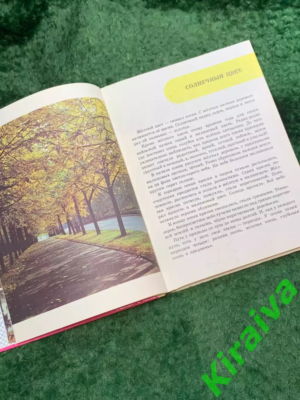 Книга познавательные рассказы «Краски природы» В. А. Корабельников 1989 (Н8109) 4
