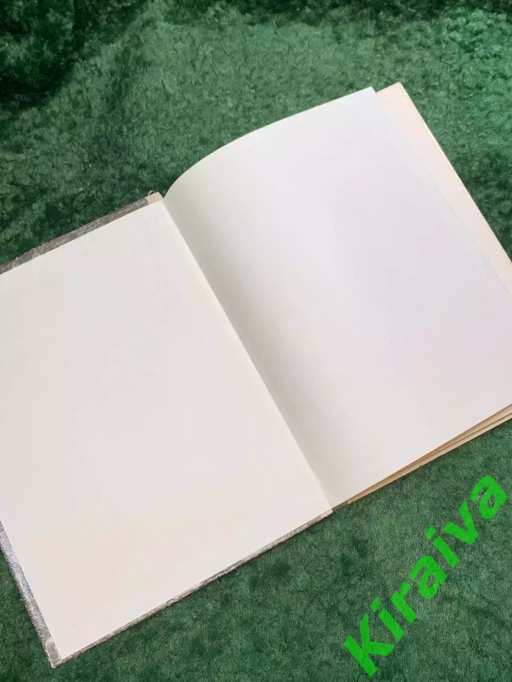 Книга детская научно-художественная «Почему у белого пуделя чёрный нос?» (Н8110) 1