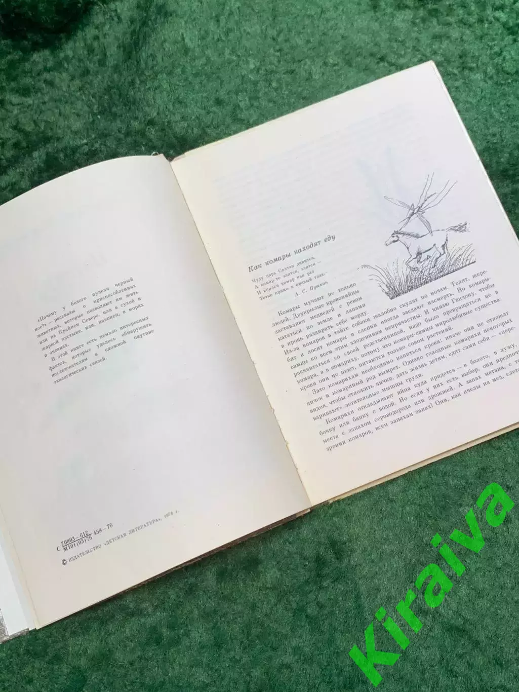 Книга детская научно-художественная «Почему у белого пуделя чёрный нос?» (Н8110) 3